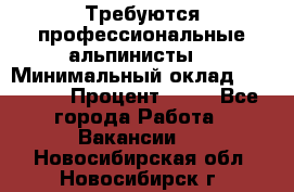 Требуются профессиональные альпинисты. › Минимальный оклад ­ 90 000 › Процент ­ 20 - Все города Работа » Вакансии   . Новосибирская обл.,Новосибирск г.